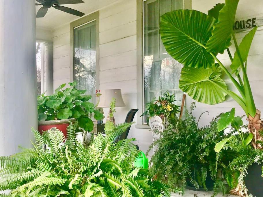 The Farmhouse Private Apartments 尤福拉 外观 照片